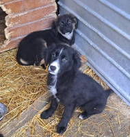 /album/141/584317679-1199910635570334-6722209324415580484-n-jpg/