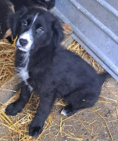 /album/141/584447784-1199910592237005-3717322601413663536-n-jpg/