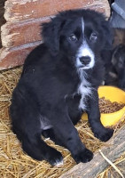 /album/141/583325066-1199910618903669-944709825540003535-n-jpg/