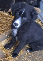 /album/141/584299565-1199910555570342-5851752589661932463-n-jpg/