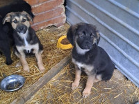 /album/141/583261791-1199905842237480-7730200974896994291-n-jpg1/