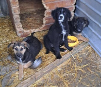 /album/141/583324222-1199905862237478-688750640971813471-n-jpg/