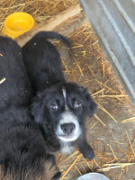 /album/19-11-20251/20251119-120849-jpg/