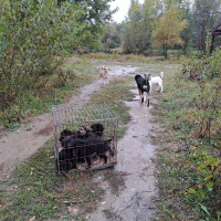 /album/159/583498180-1199906025570795-6670973474858490292-n-jpg2/