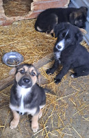 /album/159/583953957-1199905868904144-1173169748264717916-n-jpg1/