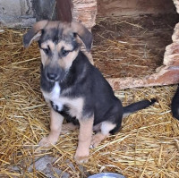 /album/159/584898152-1199905872237477-8928687844673857048-n-jpg/