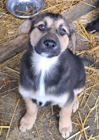 /album/159/585447912-1199905865570811-4732564971587810218-n-jpg/