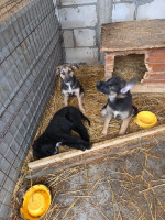 /album/19-11-20252/20251119-120751-jpg1/