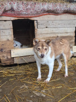 /album/17-11-20251/20251119-121239-jpg/