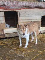 /album/17-11-20251/20251119-121237-jpg/