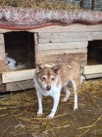 /album/17-11-20251/20251119-121232-jpg/