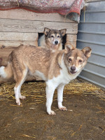 /album/17-11-20251/20251117-113708-jpg/