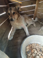 /album/18-07-2021/217629681-1929727503863586-1189701669053084972-n-jpg/