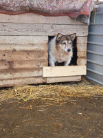 /album/17-11-20252/20251117-113656-jpg/