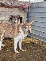 /album/17-11-20252/20251117-113711-jpg1/