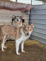 /album/17-11-20252/20251117-113715-jpg1/