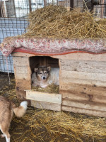 /album/17-11-20252/20251119-121246-jpg/