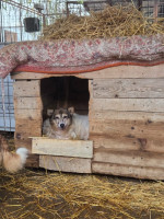 /album/17-11-20252/20251119-121251-jpg/