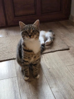 /album/19-11-20253/588393712-1175203011382279-7058263641652648727-n-jpg/