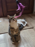 /album/19-11-20253/588722096-1175202968048950-8784721296603471967-n-jpg/