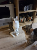 /album/19-11-20253/587212644-1175202944715619-3730695956144777500-n-jpg/