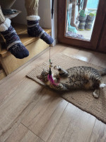 /album/19-11-20253/587385491-1175202851382295-5698913653440859453-n-jpg/