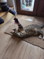 /album/19-11-20253/587206740-1175202831382297-998084899603226876-n-jpg/