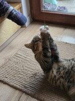 /album/19-11-20253/588461053-1175202801382300-6129160723975293247-n-jpg/