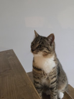 /album/19-11-20253/588403934-1175202614715652-3267150492514310118-n-jpg/