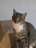 /album/19-11-20253/588613381-1175202638048983-3859243865972193282-n-jpg/