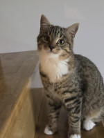 /album/19-11-20253/588447900-1175202598048987-6014406135833439903-n-jpg/