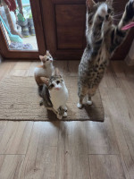 /album/17-11-20253/588014785-1175207794715134-5884400466252767689-n-jpg/