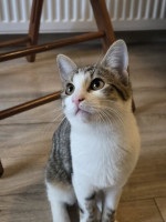 /album/17-11-20253/588235639-1175207591381821-7516297017508889009-n-jpg/