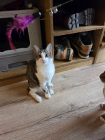 /album/17-11-20253/588024562-1175207524715161-6413433296099327082-n-jpg/