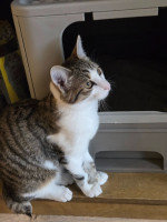 /album/17-11-20253/588232474-1175207361381844-5275479949272500163-n-jpg/