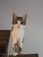 /album/17-11-20253/586641017-1175207148048532-9081765825990865736-n-jpg/