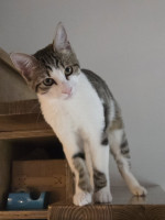 /album/17-11-20253/586916215-1175207318048515-2488734138727336389-n-jpg/