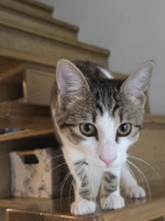 /album/17-11-20253/588488253-1175207221381858-8427330493142825112-n-jpg/