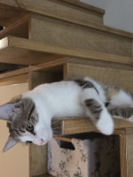 /album/17-11-20253/587996461-1175207168048530-1098487473555462829-n-jpg/