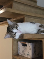 /album/17-11-20253/588712626-1175207151381865-4601328826422540048-n-jpg/