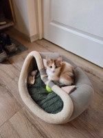 /album/17-11-20254/587360662-1175217028047544-7235459509803832368-n-jpg/