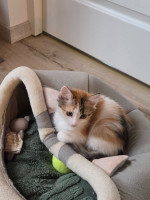 /album/17-11-20254/589167055-1175217061380874-4640671130746903614-n-jpg/