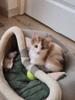 /album/17-11-20254/589178356-1175216948047552-5915319434313333575-n-jpg/