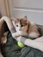 /album/17-11-20254/587543605-1175216928047554-2656681422948848490-n-jpg/