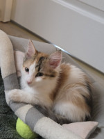 /album/17-11-20254/589123557-1175216838047563-212482051793376131-n-jpg/