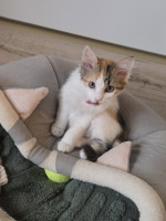 /album/17-11-20254/586916534-1175216804714233-2814494645606719456-n-jpg/