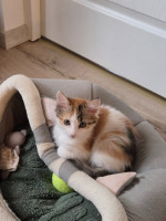 /album/17-11-20254/586857891-1175217064714207-2202568109660626206-n-jpg/