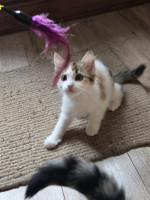 /album/17-11-20254/589192768-1175217161380864-236243417865814934-n-jpg/