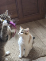 /album/17-11-20254/587908195-1175217134714200-3240672282711579041-n-jpg/