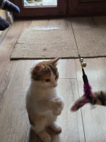 /album/17-11-20254/588315963-1175217118047535-7544854190503853329-n-jpg/